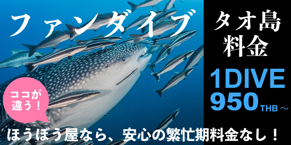 タオ島ダイビング料金
