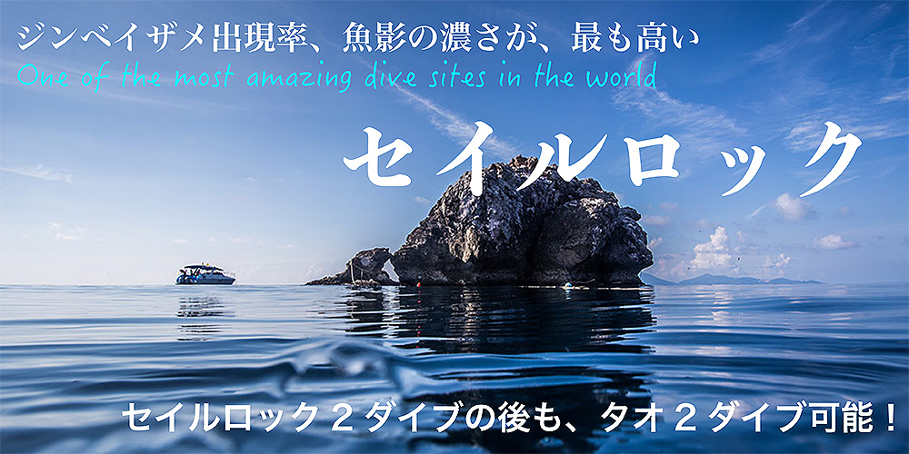 セイルロックでダイビング