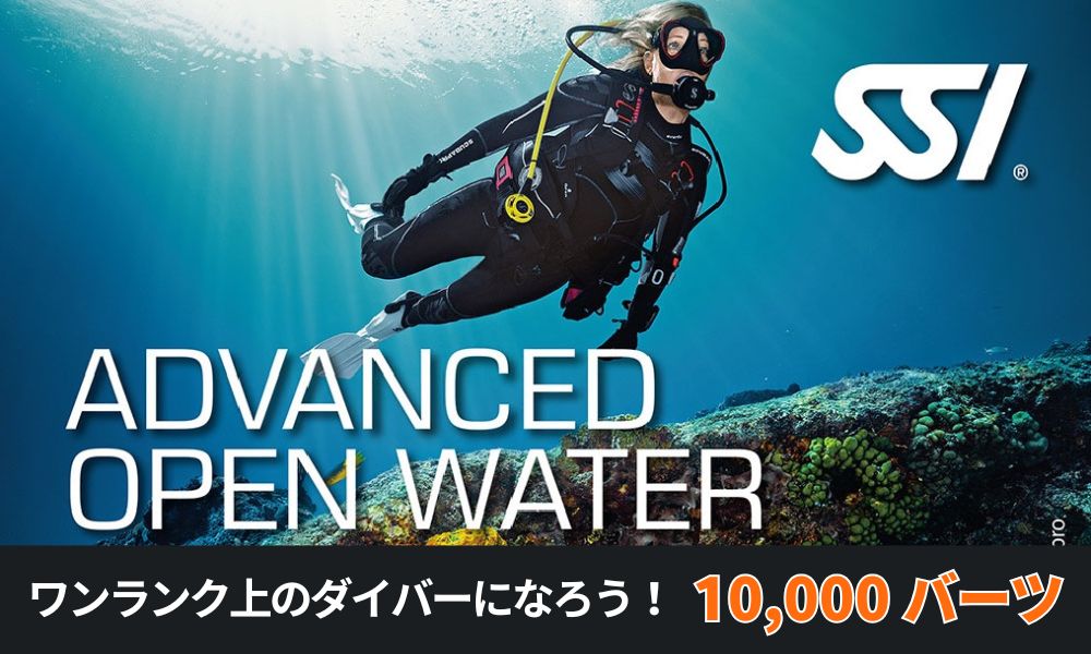タオ島ダイビング料金