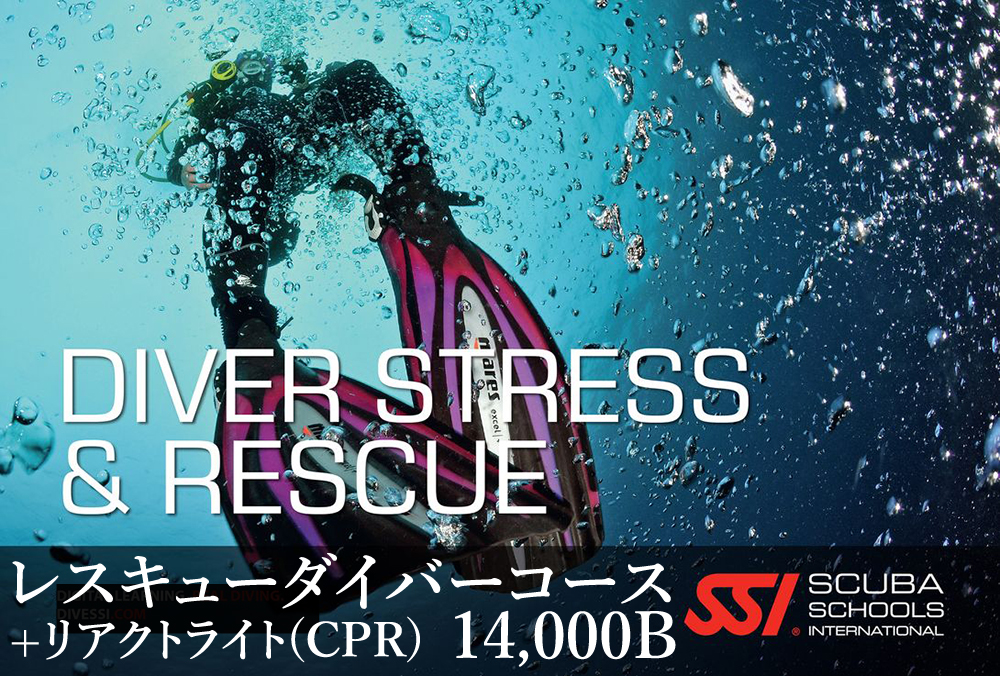 タオ島ダイビング料金
