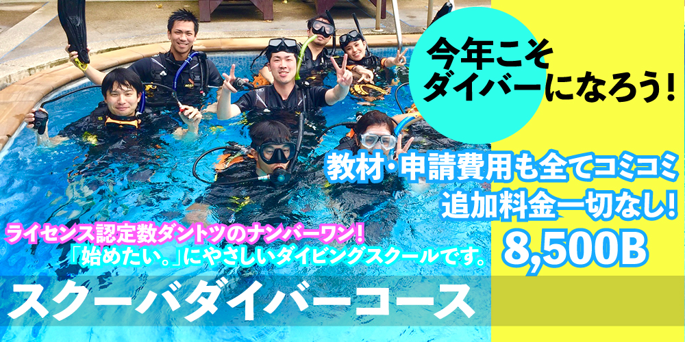 タオ島ダイビング料金