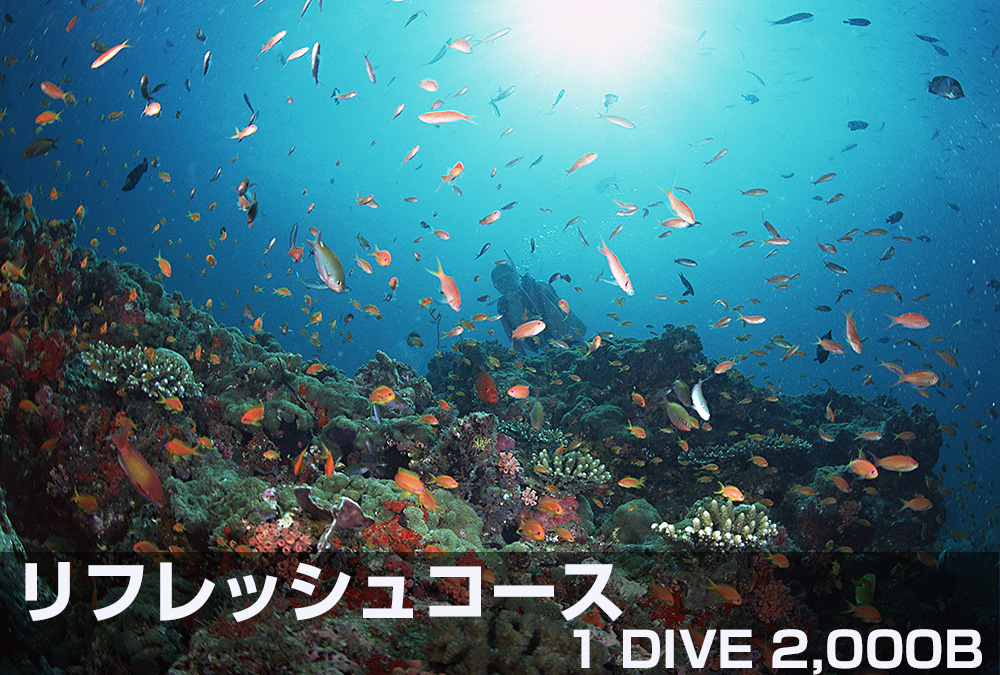 イメージ／リフレッシュコース