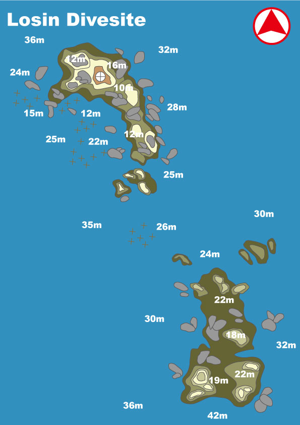 イメージ／ローシンダイビングポイントマップ／ローシン（パソコン用の画像）