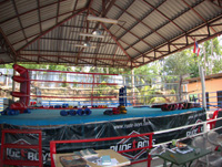 イメージ/MUAY THAI